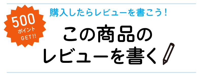 レビューを書く